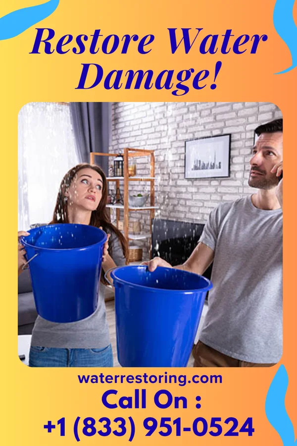 water restoration Global Water Removal Co Lowry
