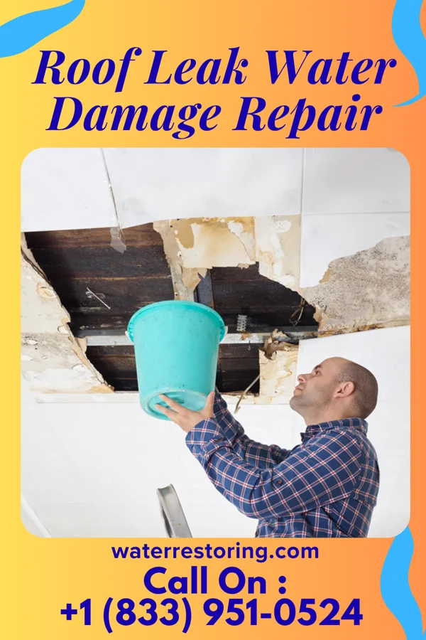 Roof Leak Water Damage Repair in Lowry, SD